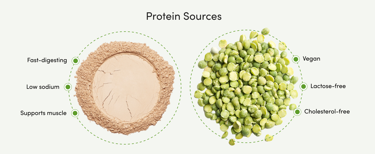 Protein-Packed Mornings Made Easy